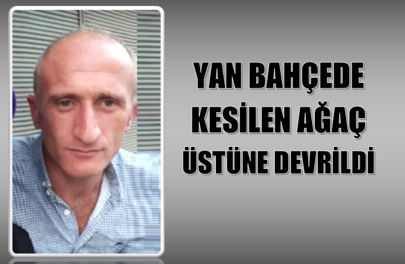 BAŞKASININ KESTİĞİ AĞAÇ ONUN ÜSTÜNE DEVRİLDİ