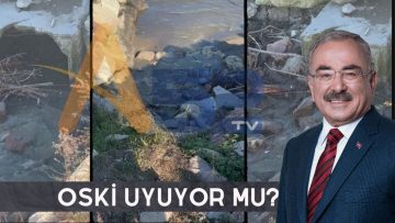 Ünye’de Çevre Felaketi: Lağım Suları Denize Akıyor, Yetkililer Sessiz!