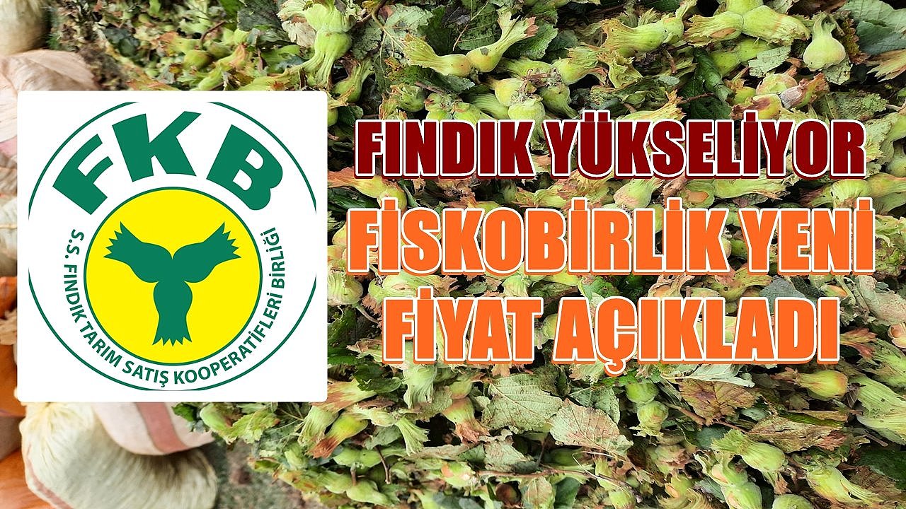 Fındık Fiyatı Yükseldi;