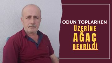 Ordu’da Üzerine Ağaç Devrilen Necmi İnce Hayatını Kaybetti